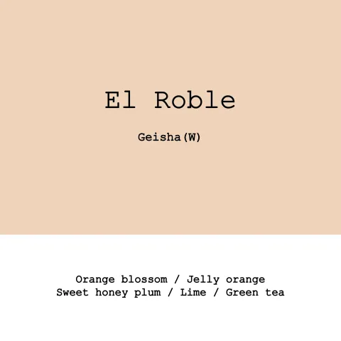 Colombia El Roble Geisha Washed, product image from the roaster