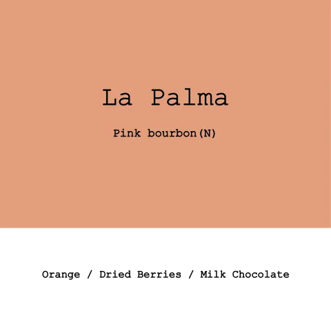 Colombia La Palma Pink Bourbon Natural, product image from the roaster