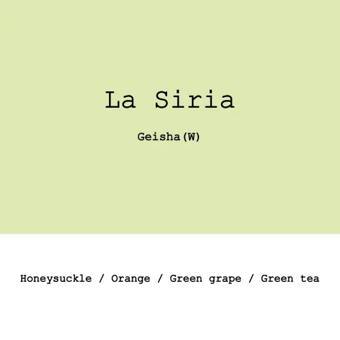 Colombia La Siria Geisha Washed, product image from the roaster