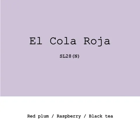 Costa Rica El Cola Roja SL28 Natural, product image from the roaster