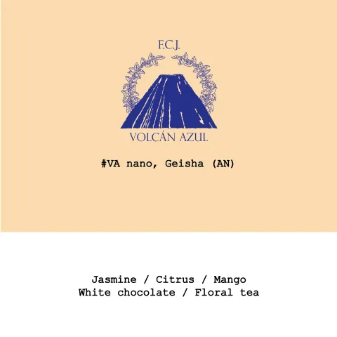 Costa Rica Volcan Azul Geisha Anaerobic natural #VA nano, product image from the roaster