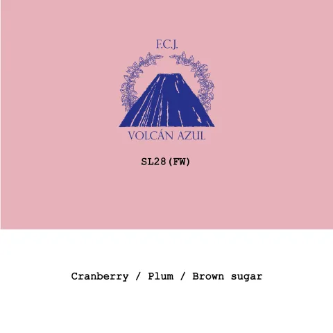 Costa Rica Volcan Azul SL28 Fully washed, product image from the roaster