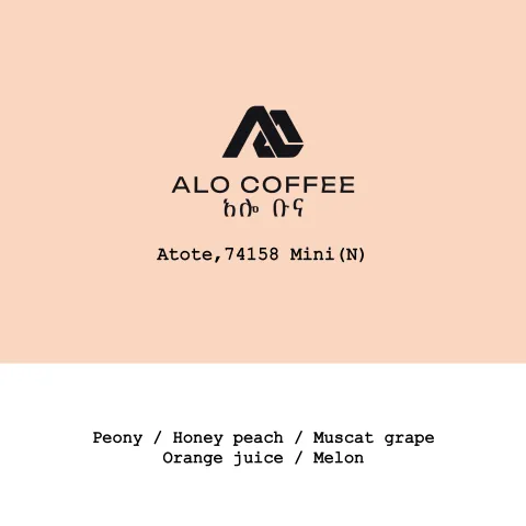 Ethiopia Alo Coffee-Atote 74158mini Natural, product image from the roaster