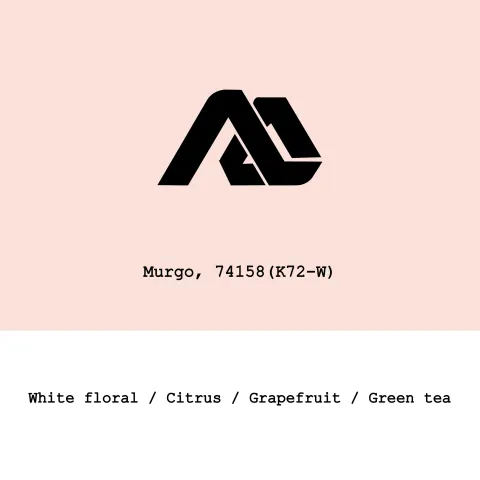 Ethiopia Alo Coffee-Murgo 74158 K72 washed, product image from the roaster