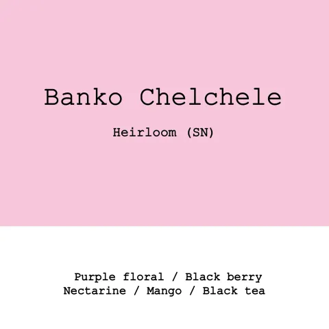 Ethiopia Banko Chelchele Heirloom Super natural, product image from the roaster