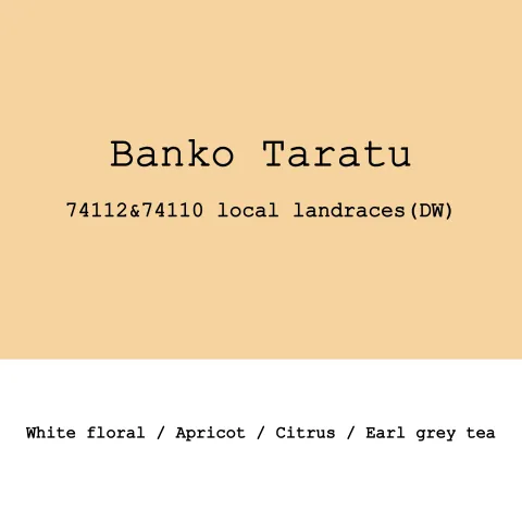 Ethiopia Banko Taratu Heirloom Double Washed, product image from the roaster