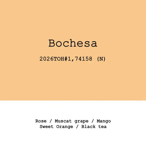 Ethiopia Bochesa 74158 Natural 2026 ToH#1, product image from the roaster