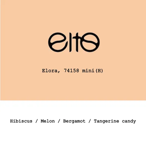 Ethiopia Elto Coffee-Elora 74158mini Honey, product image from the roaster