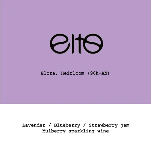 Ethiopia Elto Coffee-Elora Heirloom 96h Anaerobic natural, product image from the roaster