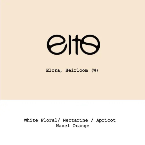 Ethiopia Elto Coffee-Elora Heirloom Washed, product image from the roaster