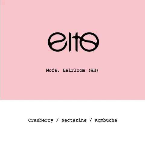 Ethiopia Elto Coffee-Mofa Heirloom Washed honey, product image from the roaster