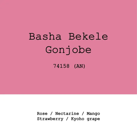 Ethiopia Gonjobe 74158 Anaerobic natural, product image from the roaster