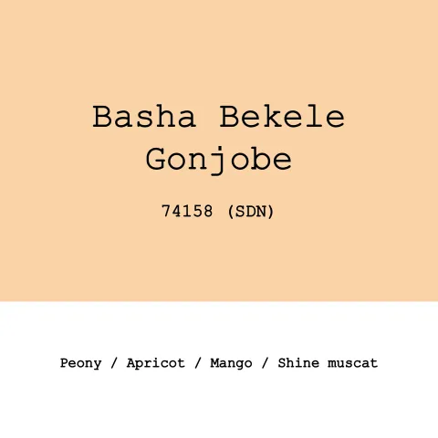 Ethiopia Gonjobe 74158 Slow dry natural, product image from the roaster