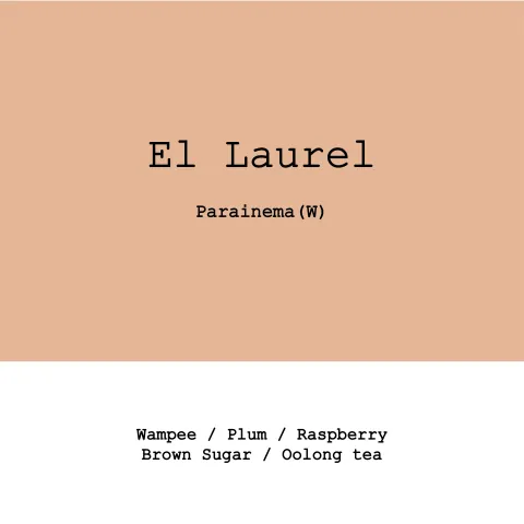 Honduras El Laurel Parainema Washed, product image from the roaster