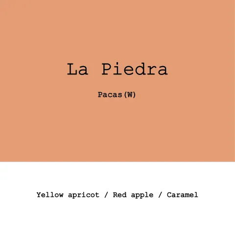 Honduras La Piedra Pacas Washed, product image from the roaster
