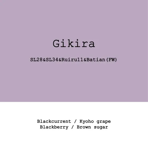 Kenya Gikira estate SL28&SL34&Ruiru11 &Batian Fully washed, product image from the roaster