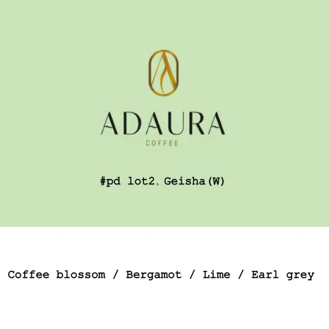 Panama Adaura CoffeeFinca Lorayne Geisha Mossto washed Pd Lot2, product image from the roaster