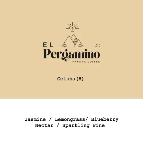 Panama El Pergamino Geisha Honey, product image from the roaster