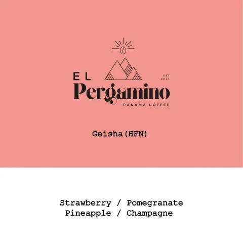 Panama El Pergamino Geisha Husk Fermentation Natural, product image from the roaster