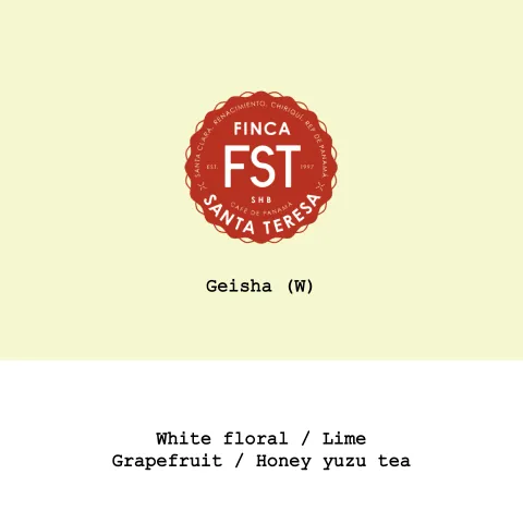 Panama Finca Santa Teresa Geisha Washed, product image from the roaster