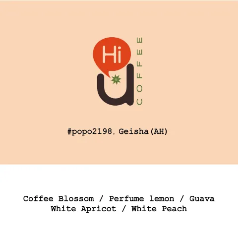 Panama HiU Coffee -Finca Emporio Geisha Anaerobic honey #Popo2198, product image from the roaster