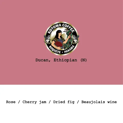 Panama Kotowa Duncan Ethiopian heirloom Natural, product image from the roaster