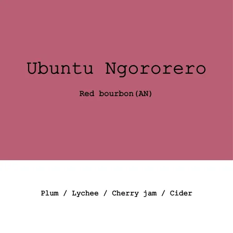 Rwanda Ubuntu Coffee -Ngororero Washing Station Red Bourbon Anaerobic Natural, product image from the roaster
