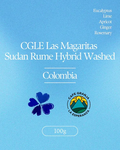 Colombia CGLE Las Magaritas Sudanrume Hybrid Washed, product image from the roaster