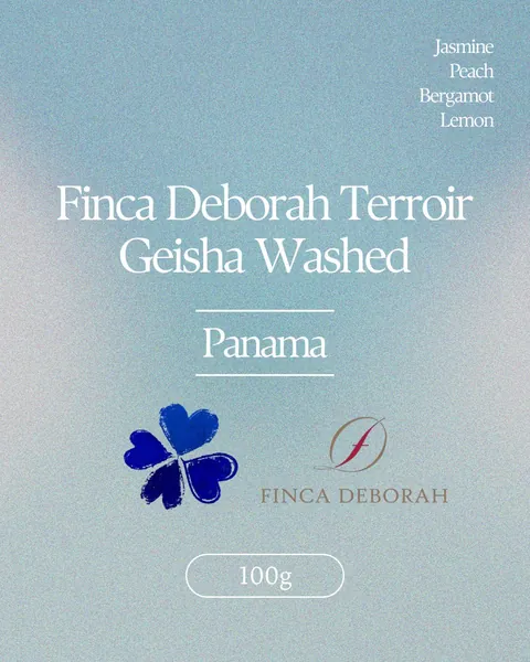 Panama Finca Deborah Terroir Geisha Washed, product image from the roaster