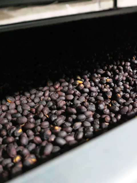 Honduras Arturo Paz Dark Room Geisha Natural, product image from the roaster