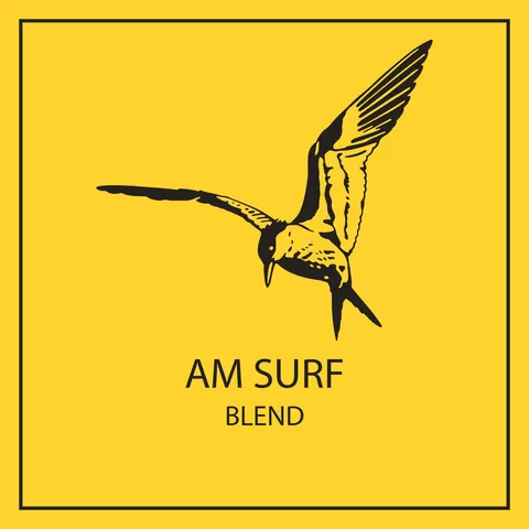 AM Surf, product image from the roaster