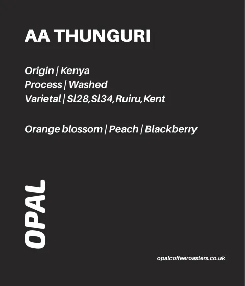 AA Thunguri Kenya, product image from the roaster