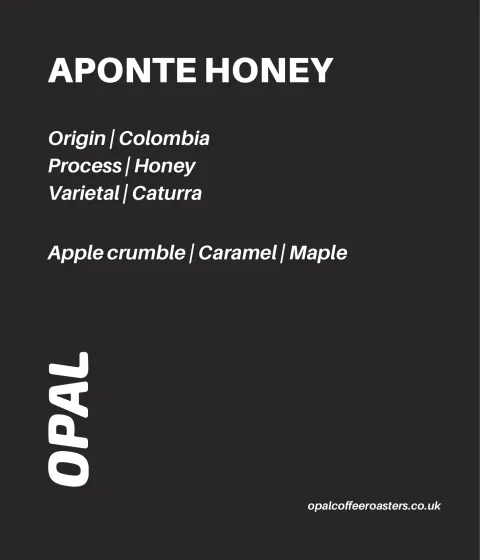 Aponte Honey Colombia, product image from the roaster