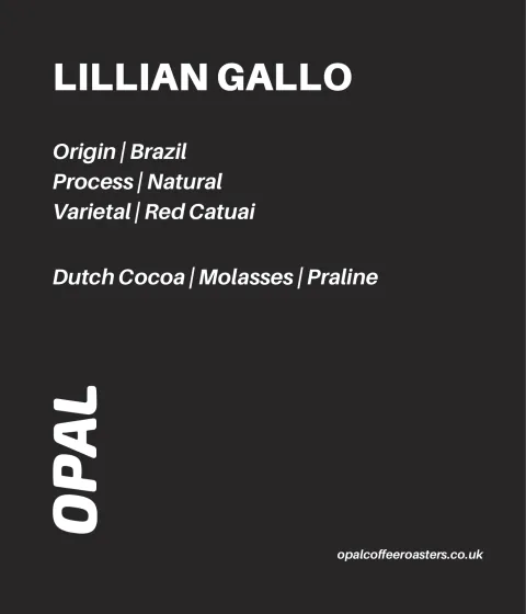 Lillian Gallo Brazil, product image from the roaster