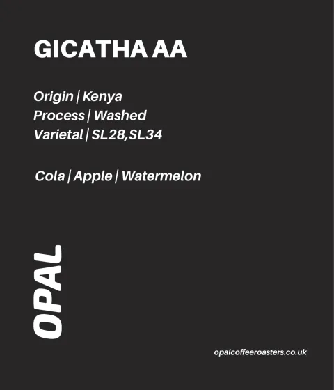 Neyri AA Kenya, product image from the roaster