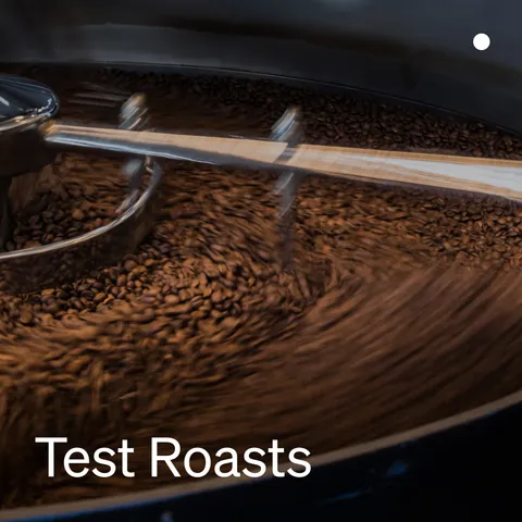 Test Roasts, product image from the roaster