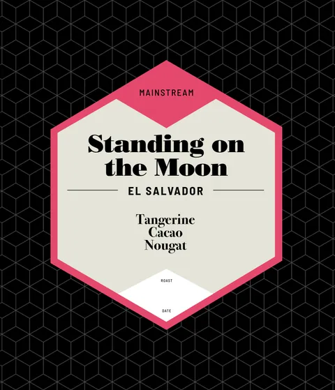 Standing on the Moon, product image from the roaster