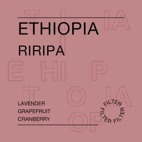 Ethiopia, Riripa, product image from the roaster