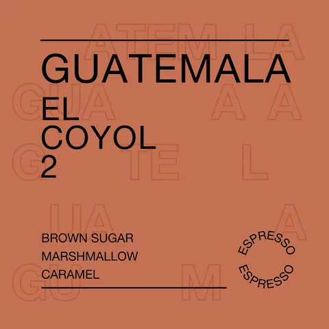 Guatemala, El Coyol 2, product image from the roaster