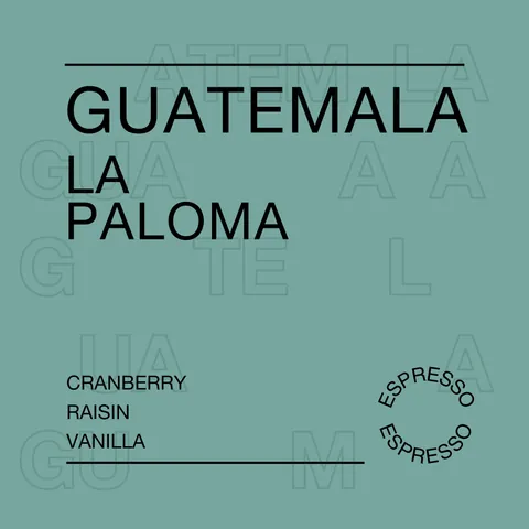 Guatemala, La Paloma, product image from the roaster