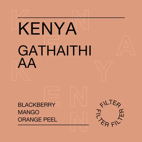 Kenya, Gathaithi AA, product image from the roaster