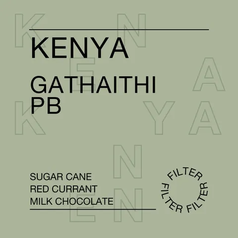 Kenya, Gathaithi PB, product image from the roaster
