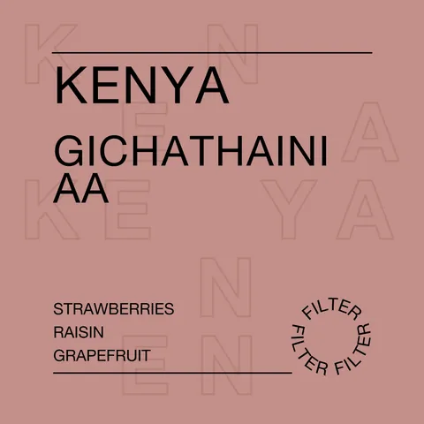 Kenya, Gichathaini AA, product image from the roaster