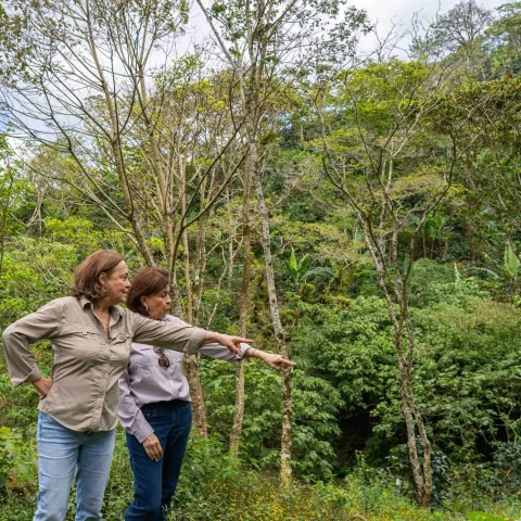 Martha Albir & Ana Maria - Double fermented washed, product image from the roaster