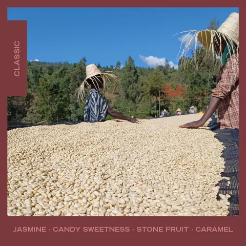 Ethiopia | Yirgacheffe | Tadese Teko, product image from the roaster
