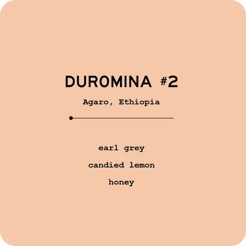 Duromina #2 - Ethiopia, product image from the roaster