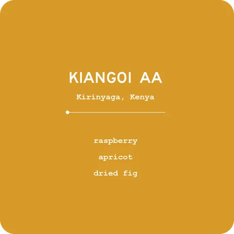 Kiangoi AA - Kenya, product image from the roaster