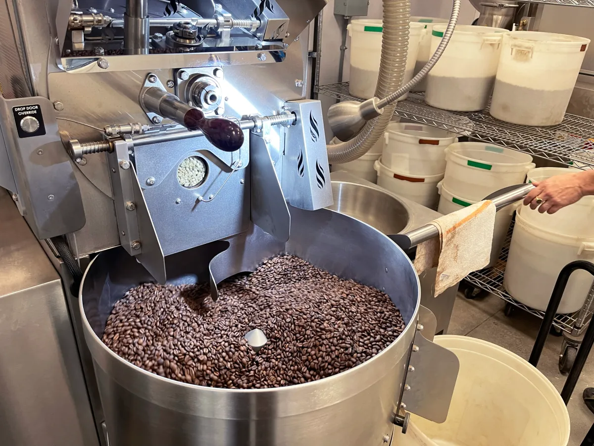 Roasted beans turning in the cooling tray of the roaster at the Texas Coffee Traders roastery