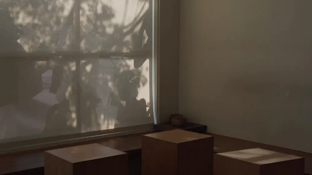 Wooden block stools beneath a tall window with leaf shadows on the blind at Maru Coffee in Los Feliz
