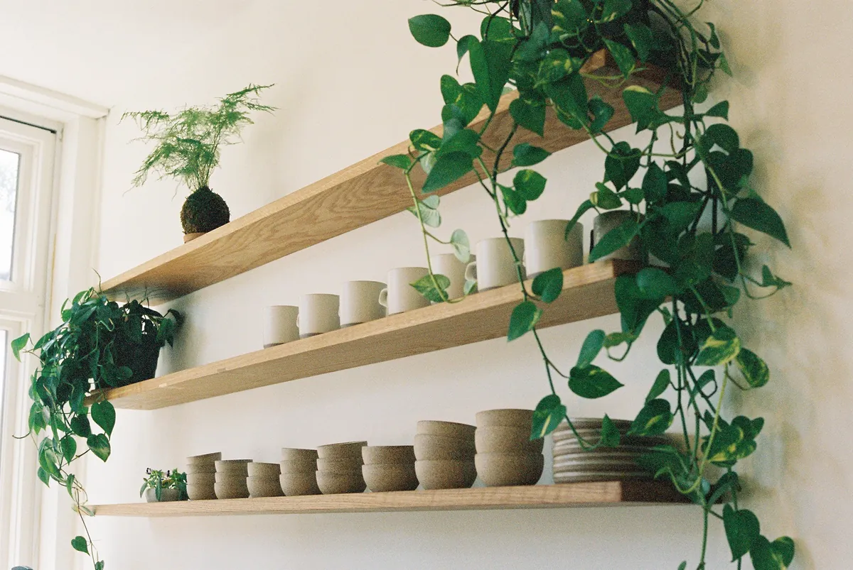 Three oak shelves of stoneware mugs and bowls at Persimmon, draped in trailing pothos vines beside a bright window